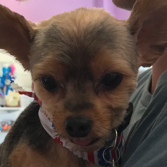 Meet your Posher, Co - Picture 4 of 4